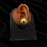 Brushed Glow Earrings