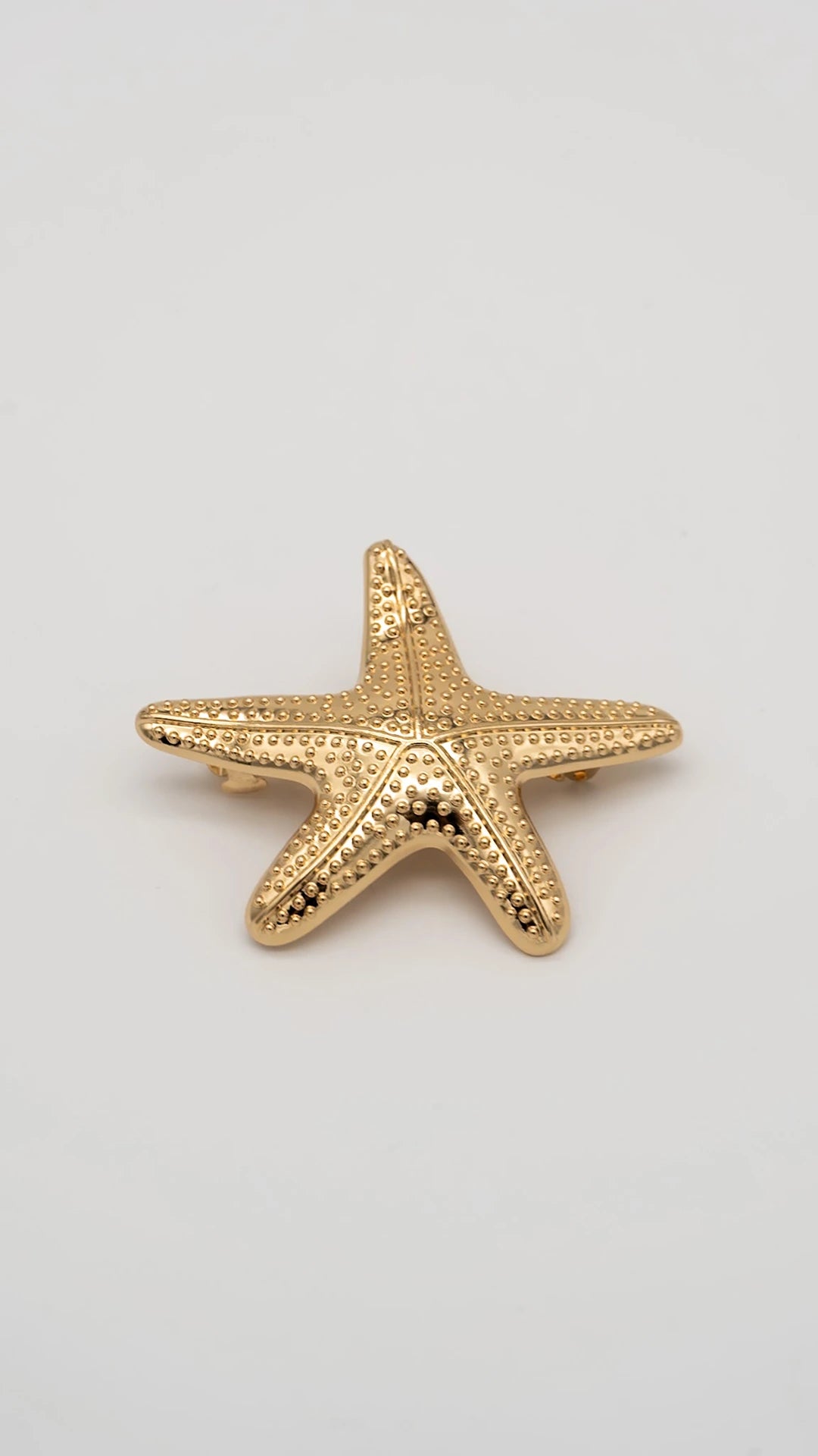 Starfish Barrette Clip