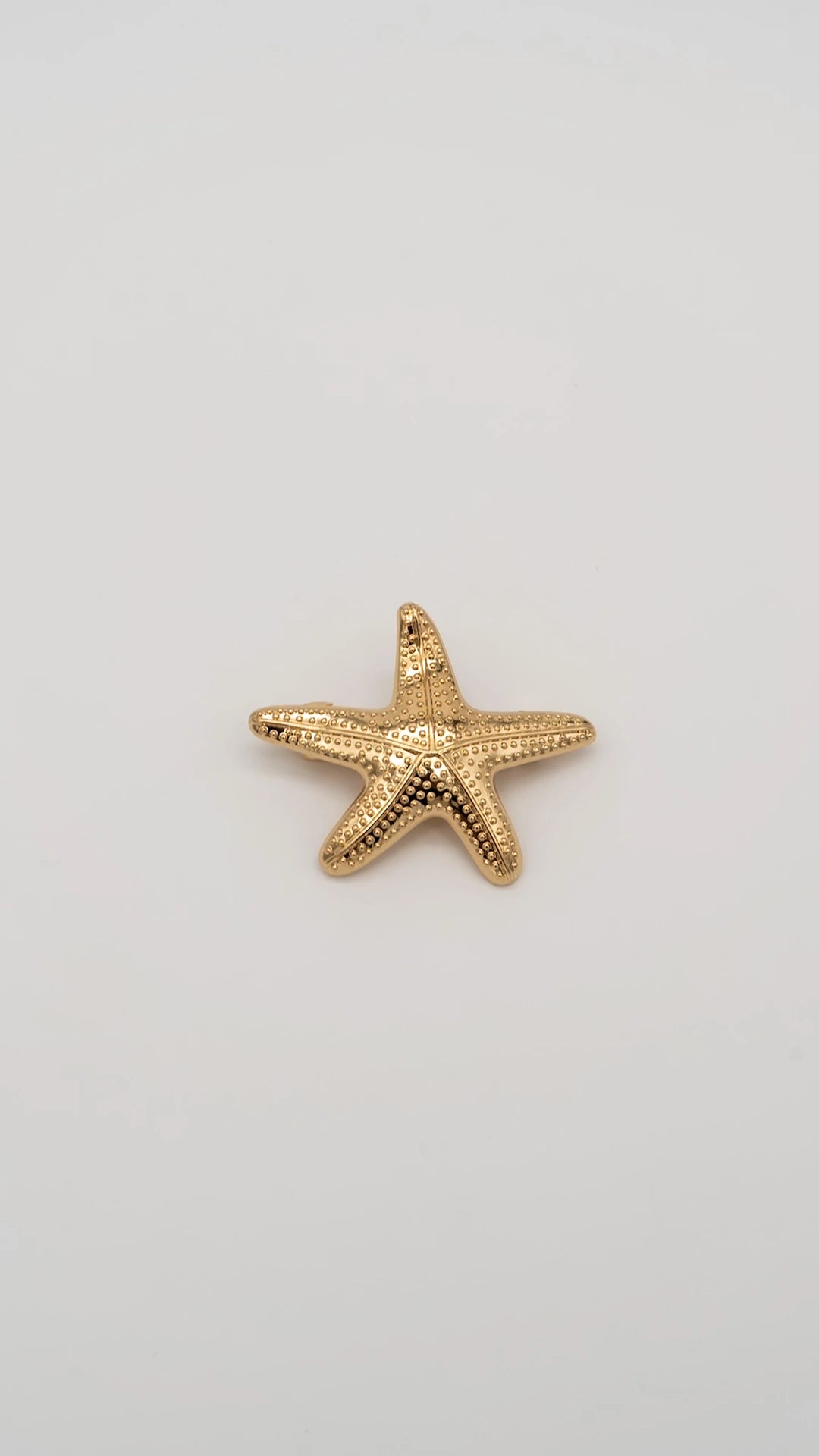 Starfish Barrette Clip