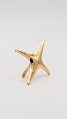 Starflare Hair Pin Hook