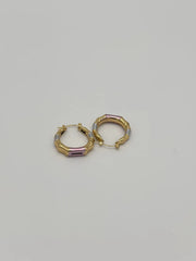 Metallic Pop Hoop Earrings